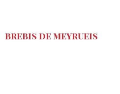Fromages du monde - Brebis de Meyrueis
